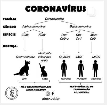 Imagem Coronavirus